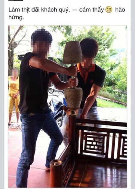 越南青年网上晒虐狗照片引争议