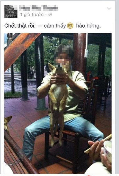越南青年网上晒虐狗照片引争议