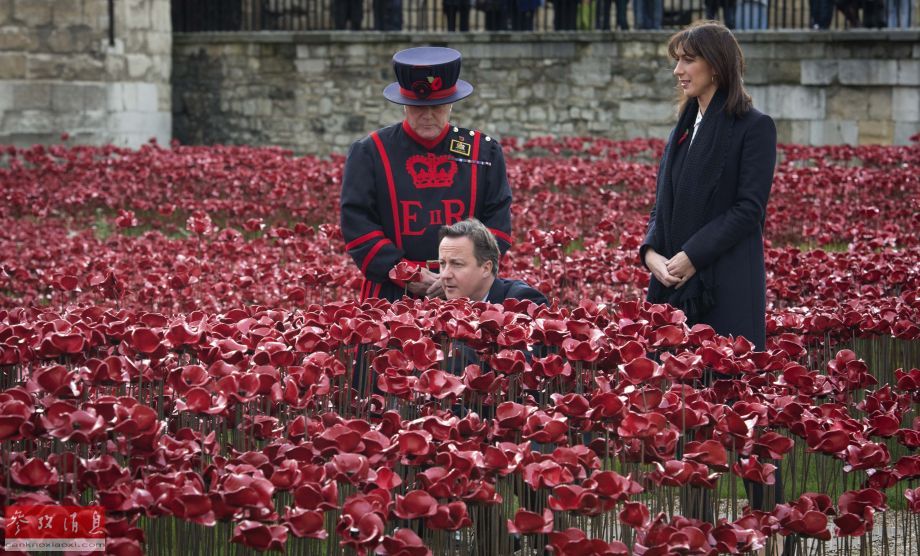 英国首相卡梅伦“鲜花”敬一战英雄