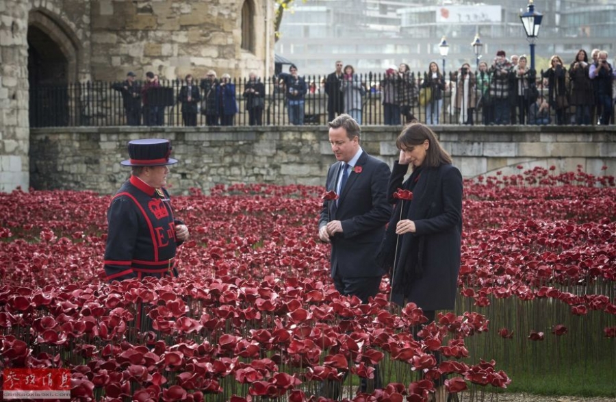 英国首相卡梅伦“鲜花”敬一战英雄