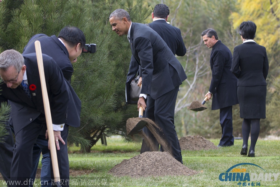 APEC峰会植树环节 奥巴马挥铲笑对镜头留影