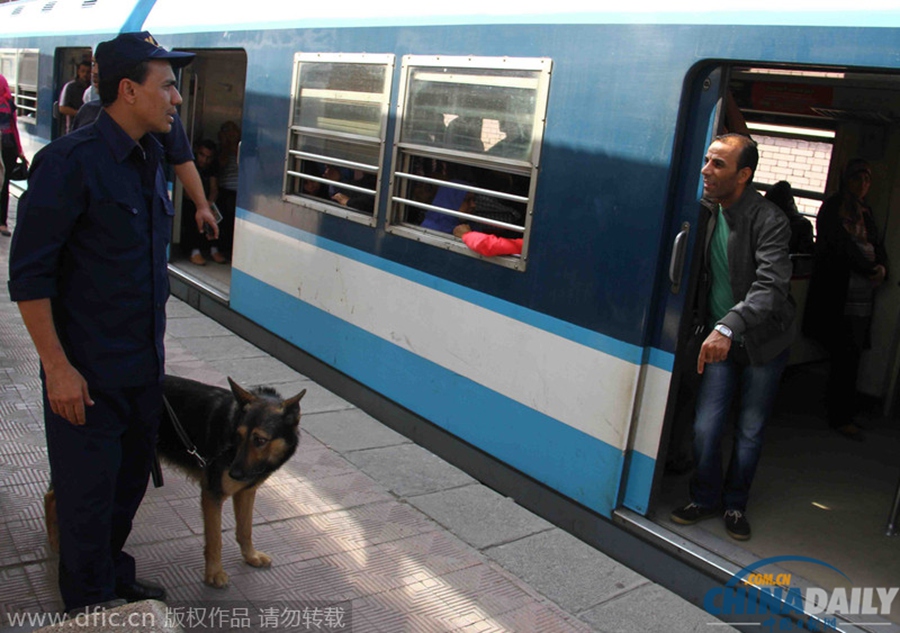 埃及开罗地铁发生炸弹爆炸致16人受伤