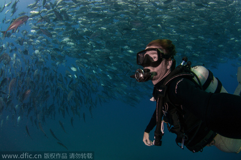 澳夫妇墨西哥潜水遇鱼群“包围” 镜头记录震撼景象