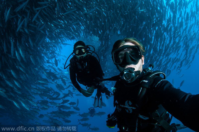 澳夫妇墨西哥潜水遇鱼群“包围” 镜头记录震撼景象