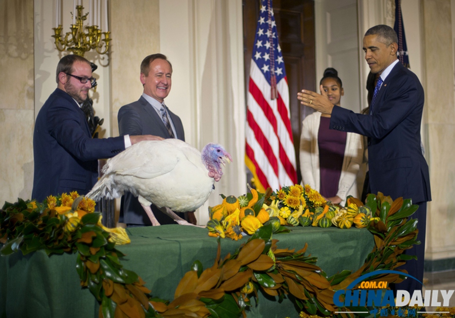 感恩节前夕 奥巴马白宫赦免火鸡