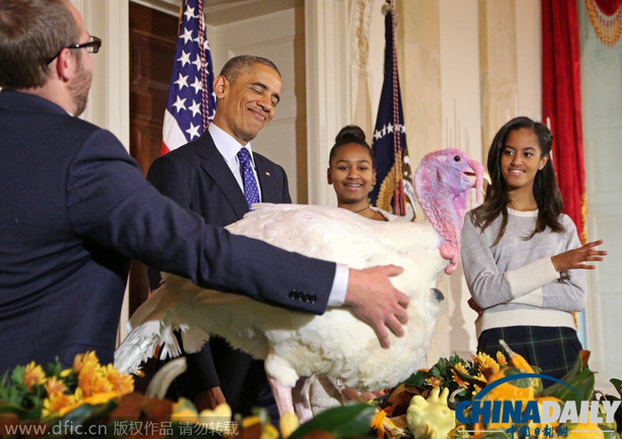 感恩节前夕 奥巴马白宫赦免火鸡