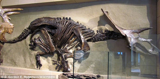英古生物学家发现新品种恐龙
