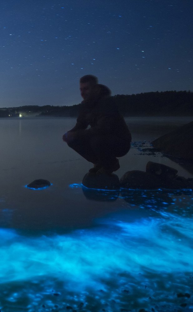 数万只浮游生物照亮瑞典海滩
