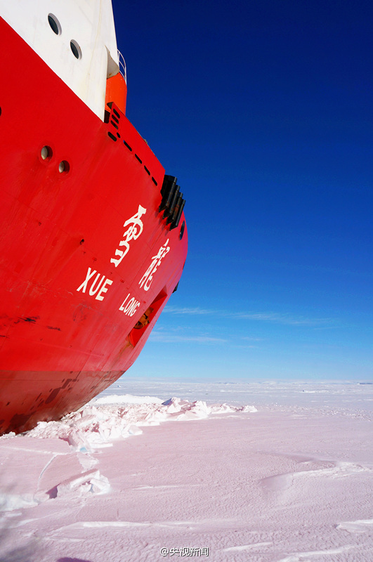 雪龙号科考船在南极卸货引企鹅围观