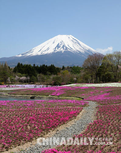 日本富士山地区发生4级地震 引火山喷发忧虑