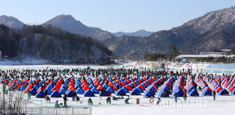 韩国平昌鳟鱼节开幕 民众享受冰钓乐趣多