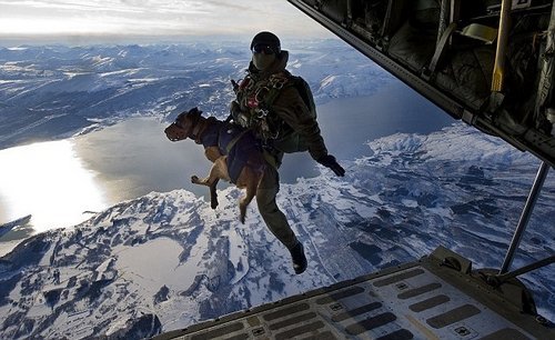 英国特种兵携带军犬从3000米高空跳伞