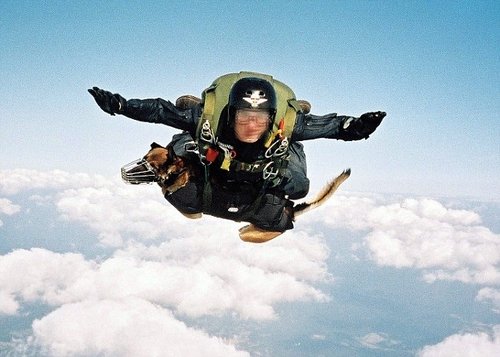 英国特种兵携带军犬从3000米高空跳伞【组图】