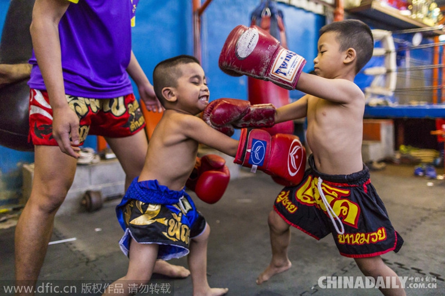 泰拳儿童的残酷童年 为脱贫辛苦训练卖命搏击