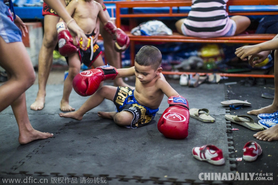 泰拳儿童的残酷童年 为脱贫辛苦训练卖命搏击