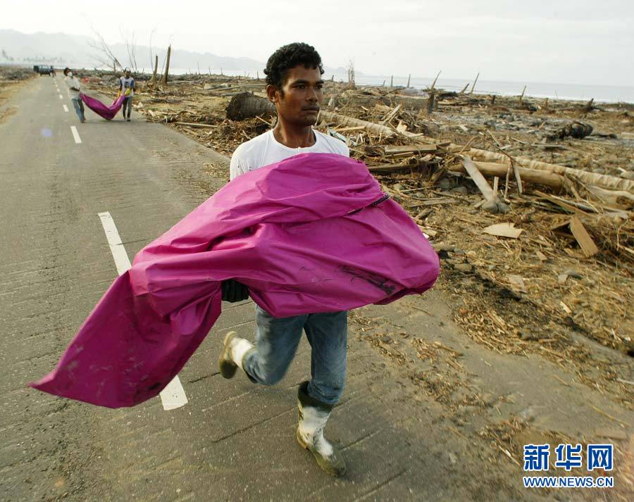 印度洋海啸十年祭