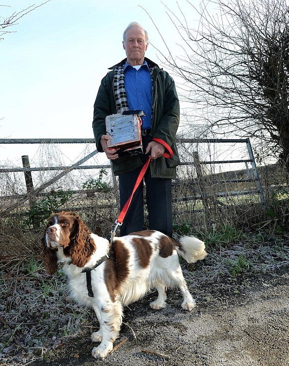 英宠物犬捡到1.14克拉钻石 主人喜获意外之财