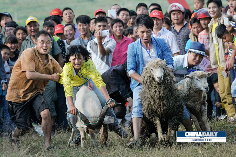 中国日报2014年度国际传播图片精选
