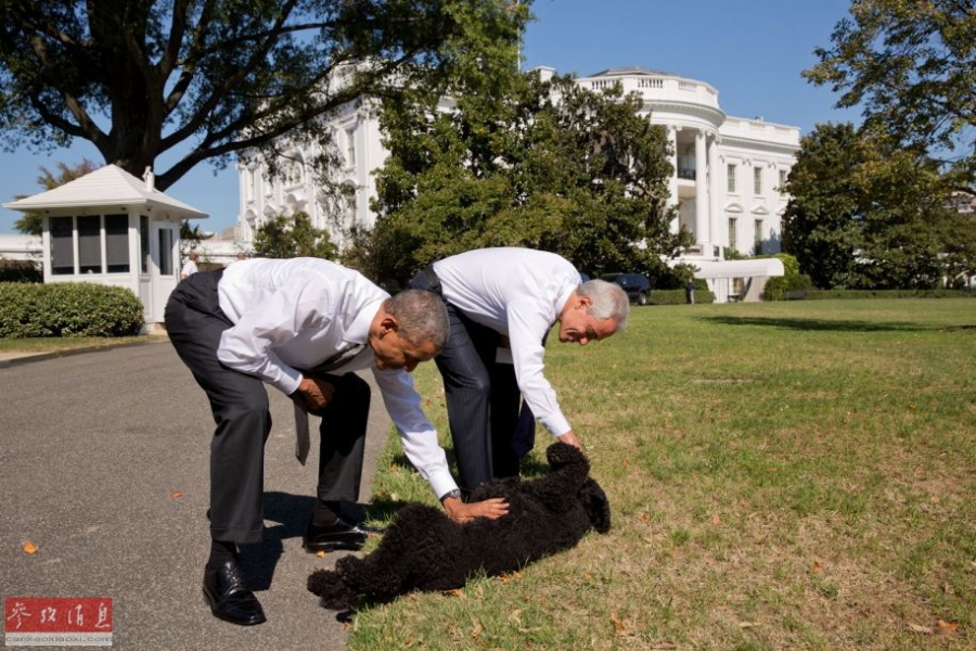 白宫年度照片：奥巴马打苍蝇