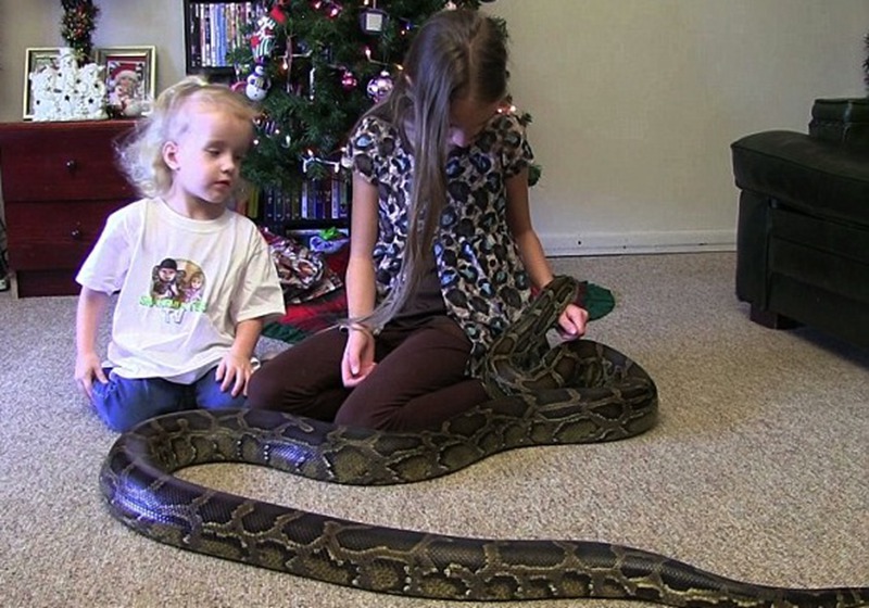 美国男子爱蛇如命 4米长巨蟒与女儿们“共舞”