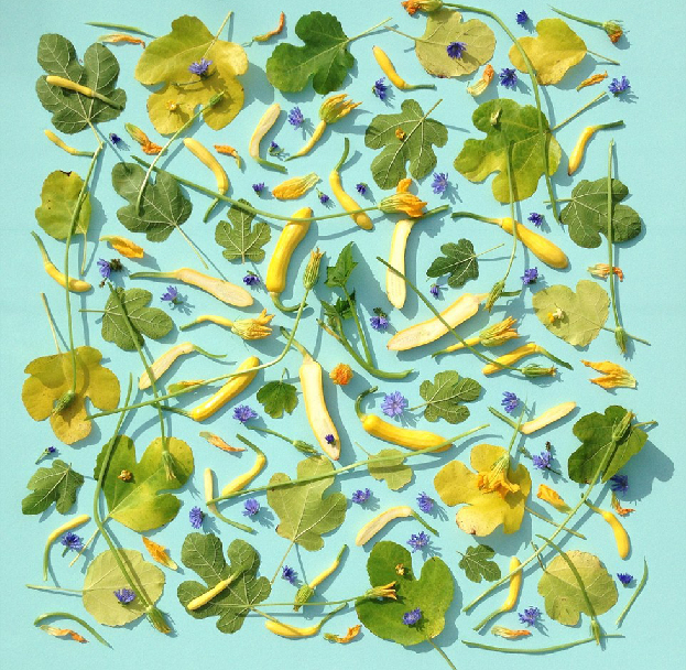 英国艺术家用蔬菜作画 宣扬素食主义