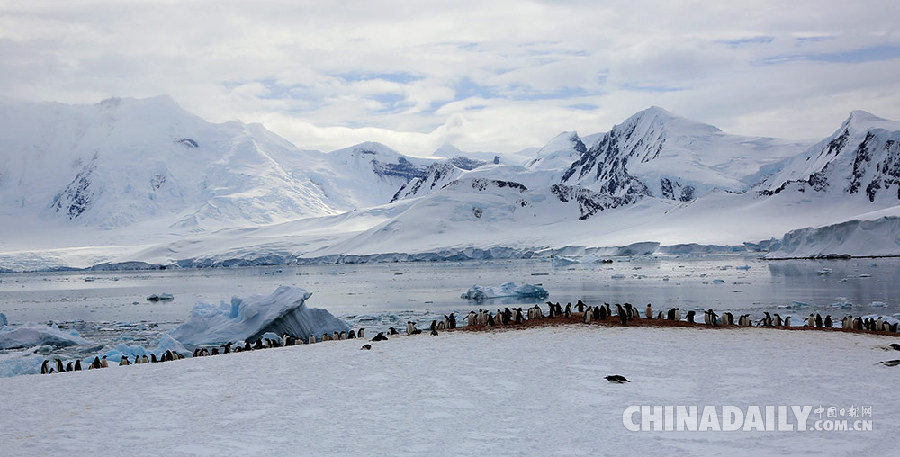 中国南极科考35周年纪念 摄影师实拍冰雪大陆