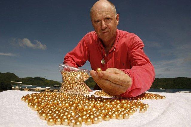 揭秘黄金珍珠生产：牡蛎壳培养历时2至5年