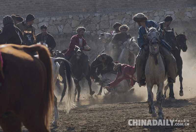 阿富汗举办传统马背叼羊大赛 惊险刺激精彩纷呈