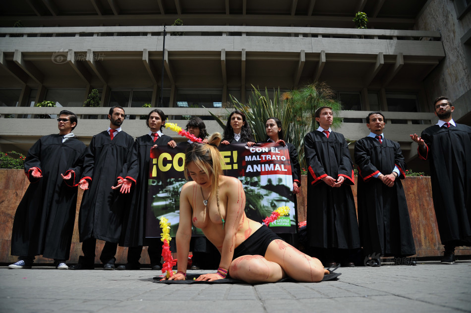 哥伦比亚美女裸体示威抗议斗牛活动