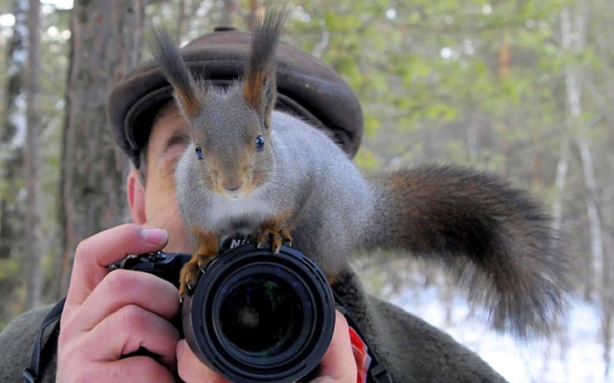 趣味摄影：动物们和相机独处时会发生什么？