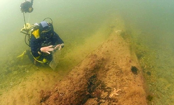 英研究人员潜水发现万年前史前森林 规模巨大