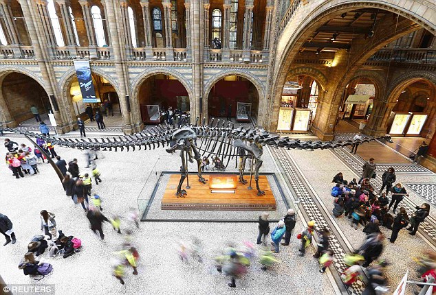 伦敦自然历史博物馆标志性恐龙骨架谢幕 蓝鲸将“继任”