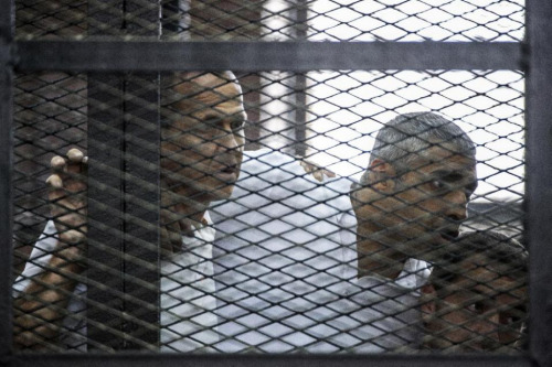 被埃及扣押半岛电视台记者宣布“放弃埃及国籍”