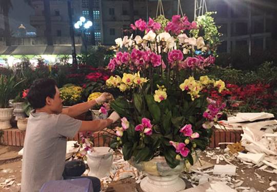 情人节、春节中国花卉在越南市场销售火爆