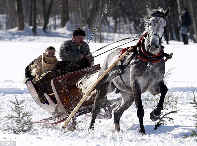 波兰雪橇赛马 驰骋在雪地上的激情