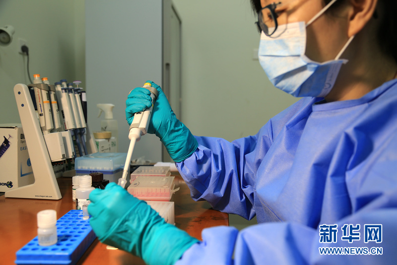 与埃博拉抗争到底：中国援塞移动实验室检测队的大年初一