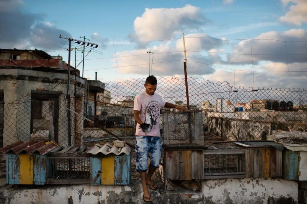 古巴天台上的生活