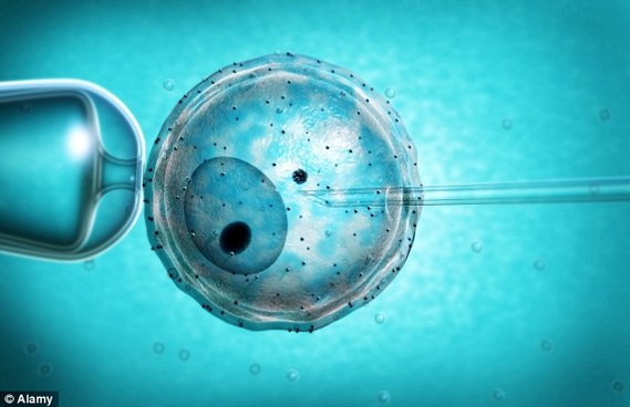 美国新疗法称让卵细胞重返青春 专家：小心为上