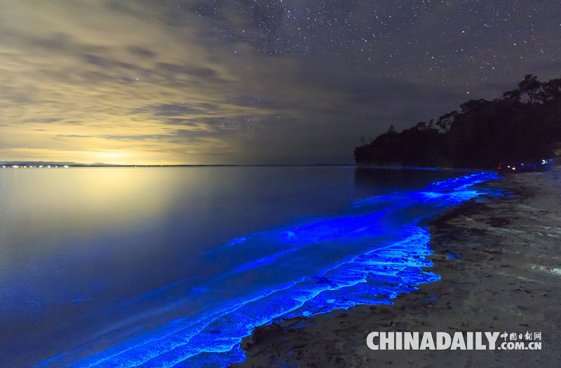 澳州查维斯湾海水闪烁蓝色幽光 景象迷幻如身处异境