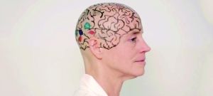 美国女教授剃光头讲解大脑结构 什么奇特方法都愿试