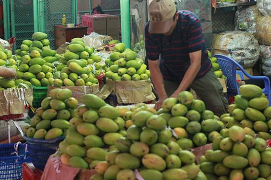 越南蔬果迎收获旺季价格低 中国货暂时淡出市场