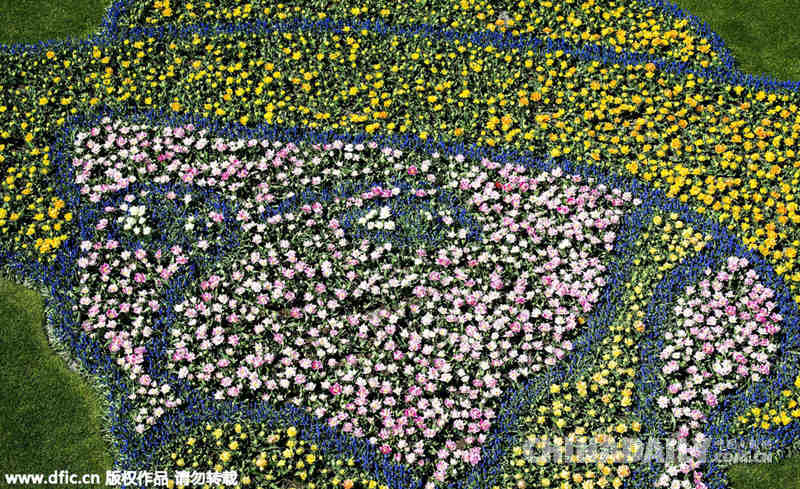 荷兰用郁金香种出梵高头像 纪念其逝世125周年