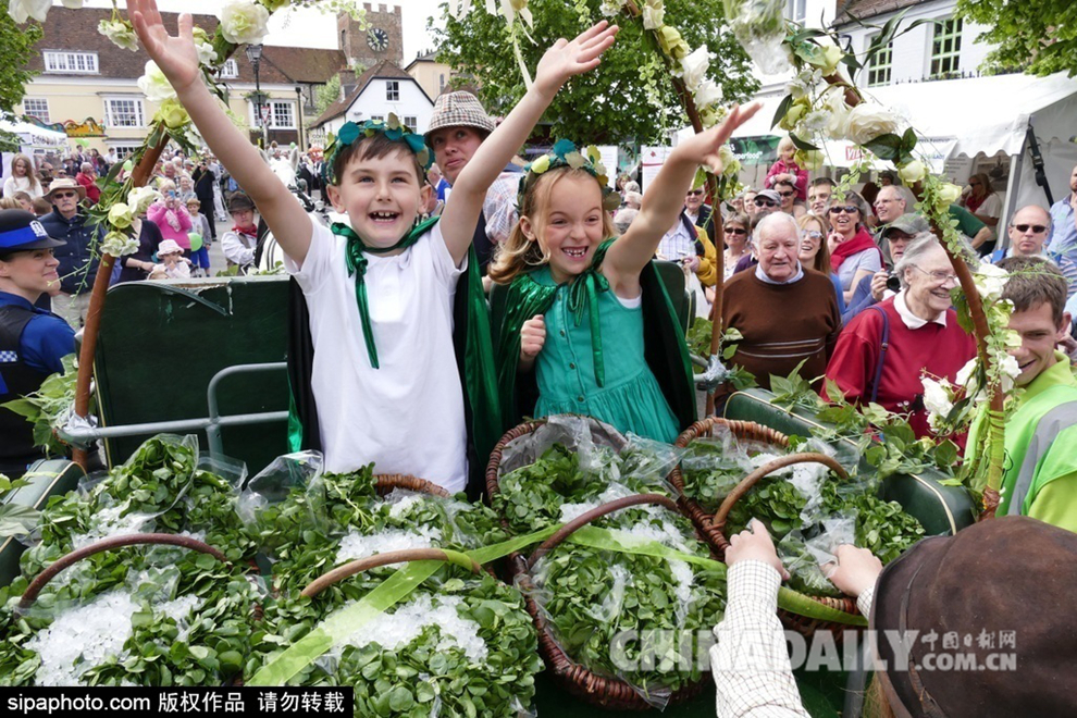 英国庆祝11届豆瓣菜节举办吃豆瓣菜大赛