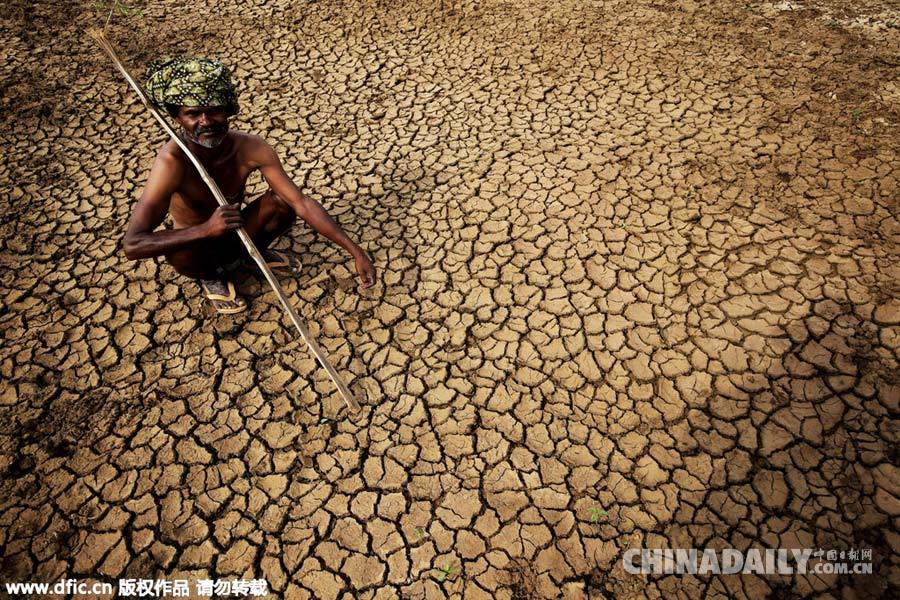 印度持续高温致逾千人死亡 土地龟裂触目惊心