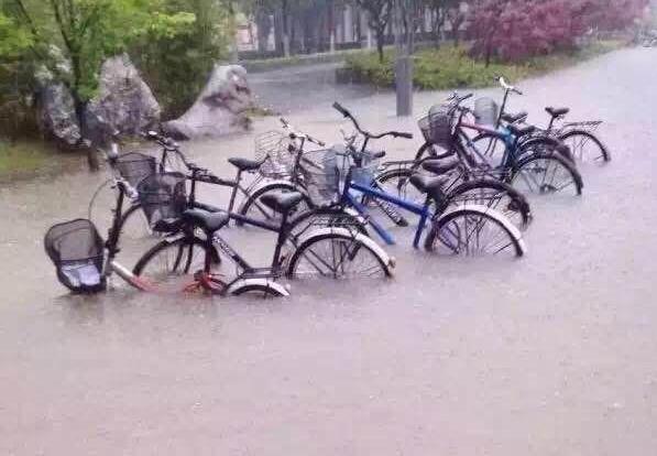 南京遭暴雨“袭”城 老天倒下100多个玄武湖