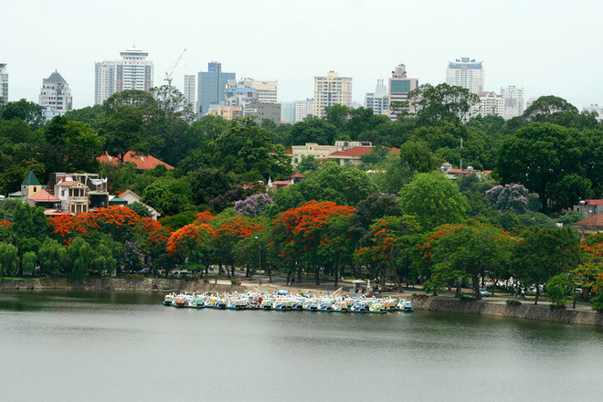 鸟瞰越南首都河内美景：紫薇盛开 绿树成荫