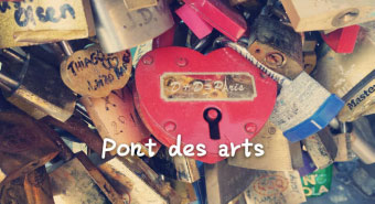 锁已去爱还在 巴黎街头艺术品取代爱情锁装点爱桥