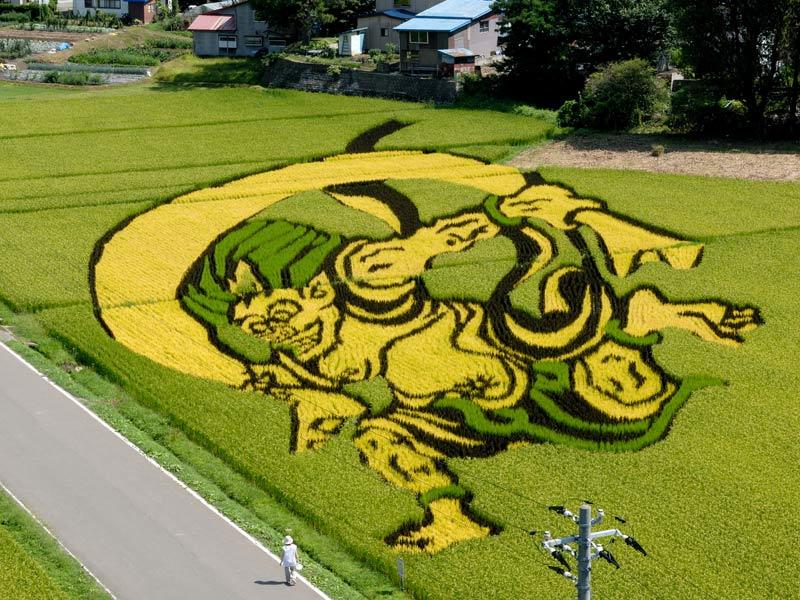 展现日式田间艺术：日本打造稻田版“浮世绘”(高清组图)