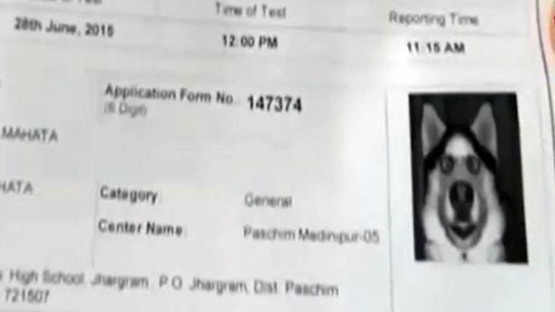 印度男子官网下载准考证 发现自己照片变狗头