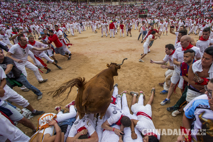 西班牙奔牛节进入第六日 惊险刺激险象环生